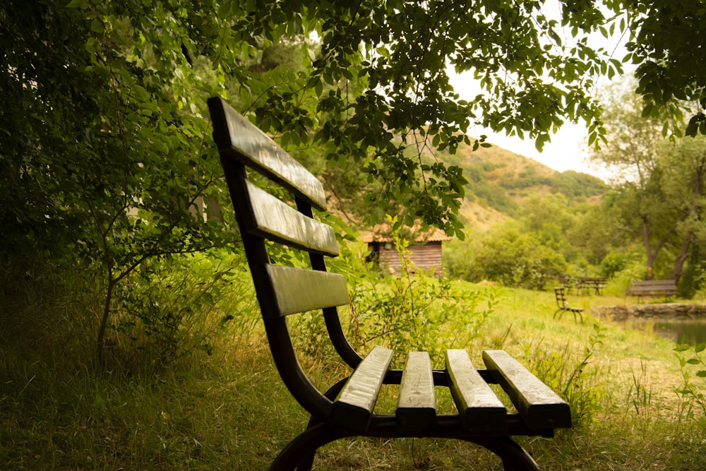 緑の芝生のフィールドに茶色の木製ベンチ