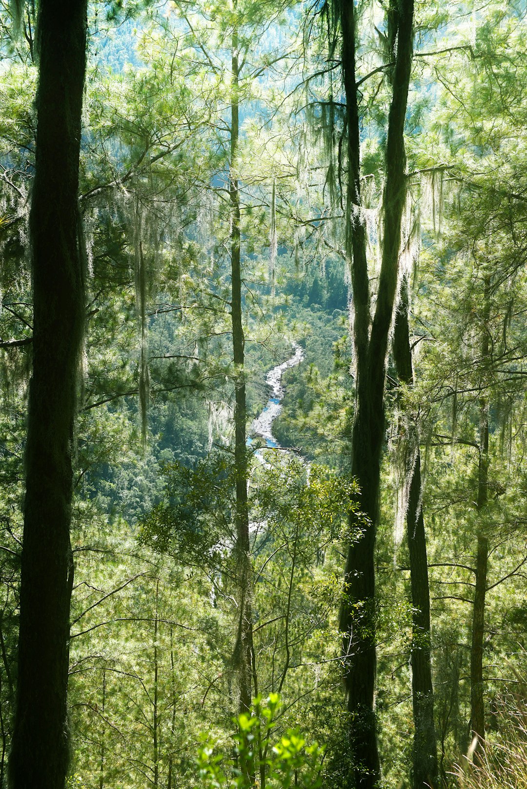 Natural landscape photo spot Parque Nacional Armando Bermúdez La Vega