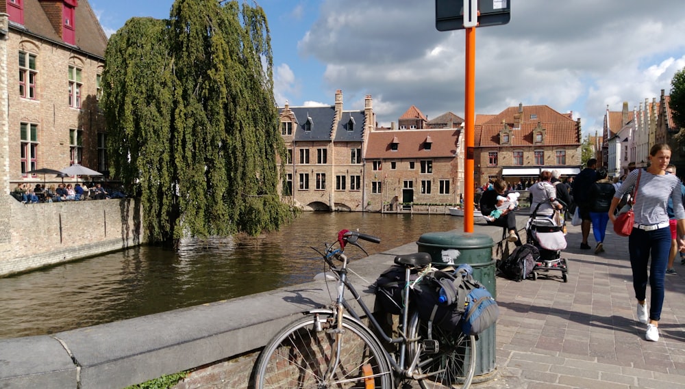 blue bicycle parked beside green tree near body of water during daytime