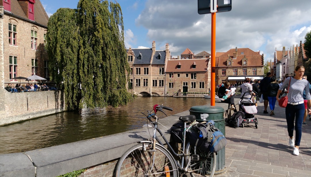 Town photo spot Bruges Minnewaterpark