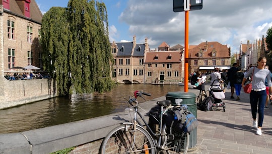 blue bicycle parked beside green tree near body of water during daytime in Brugge Belgium
