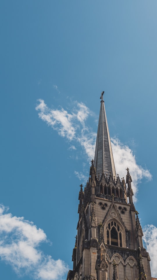 Catedral de Petrópolis things to do in Rio de Janeiro