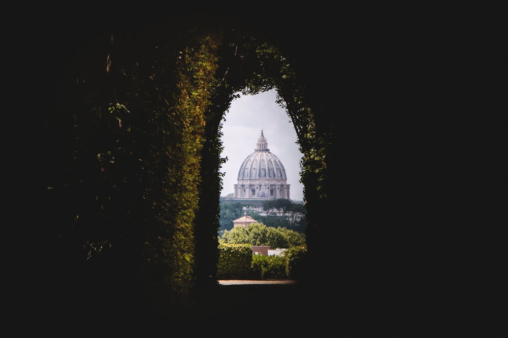 white dome building in the middle of the forest