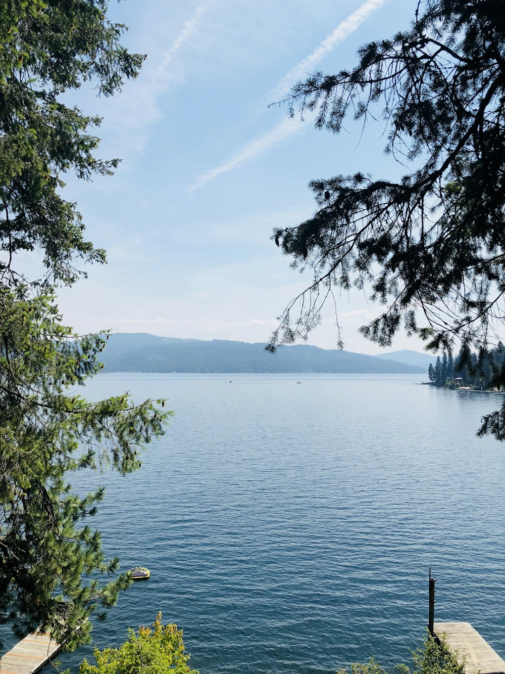 green trees near body of water during daytime