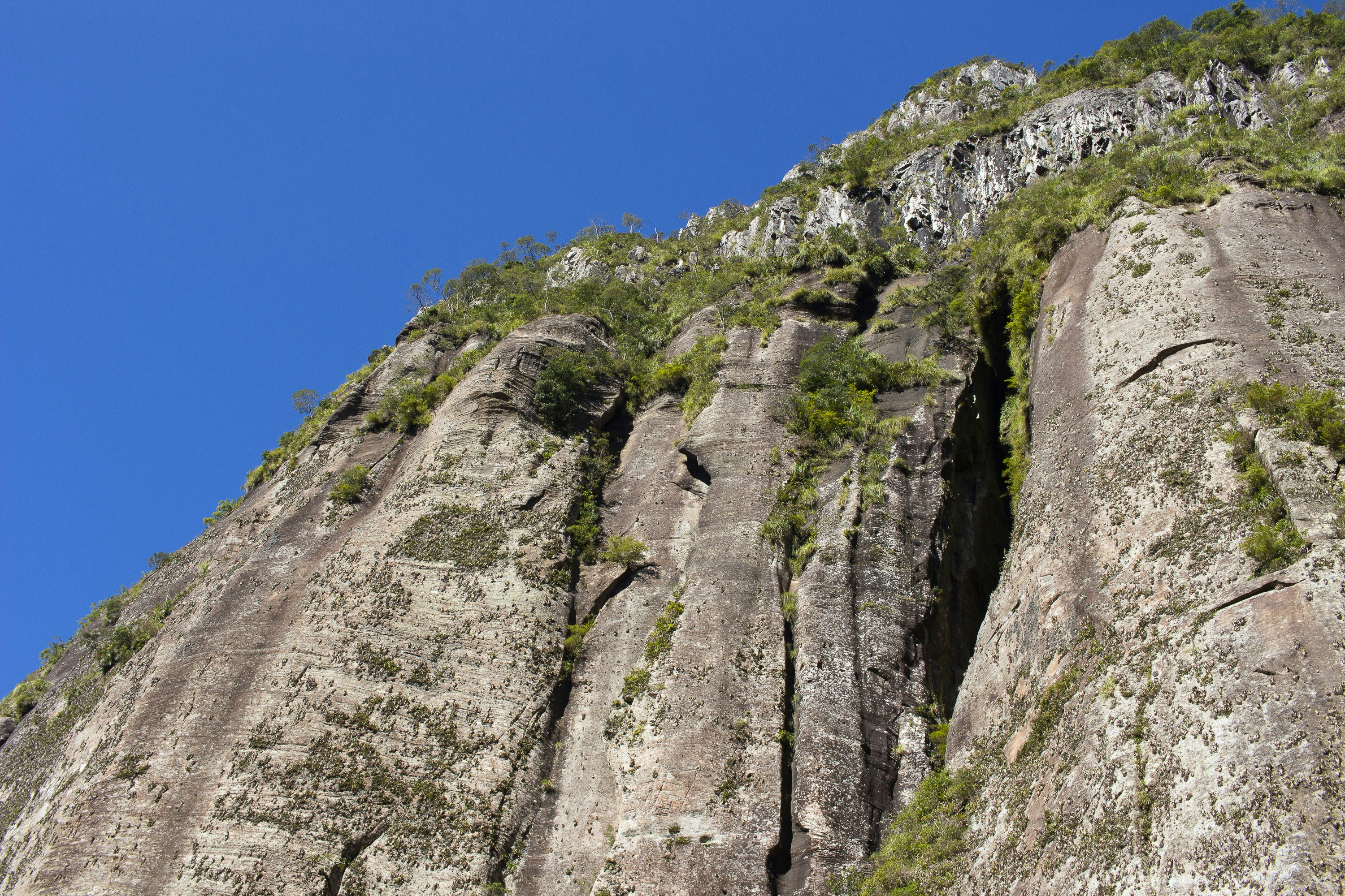 Photo by carinebecker