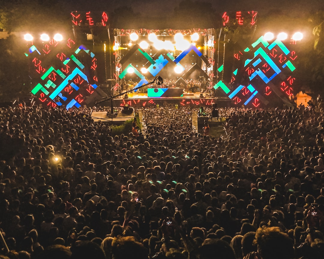 crowd of people watching concert during night time