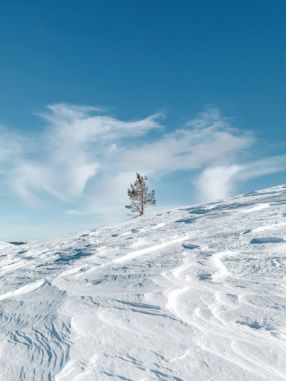 snow covered mountain under blue sky during daytime