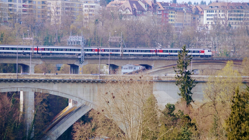 white and black bridge over river