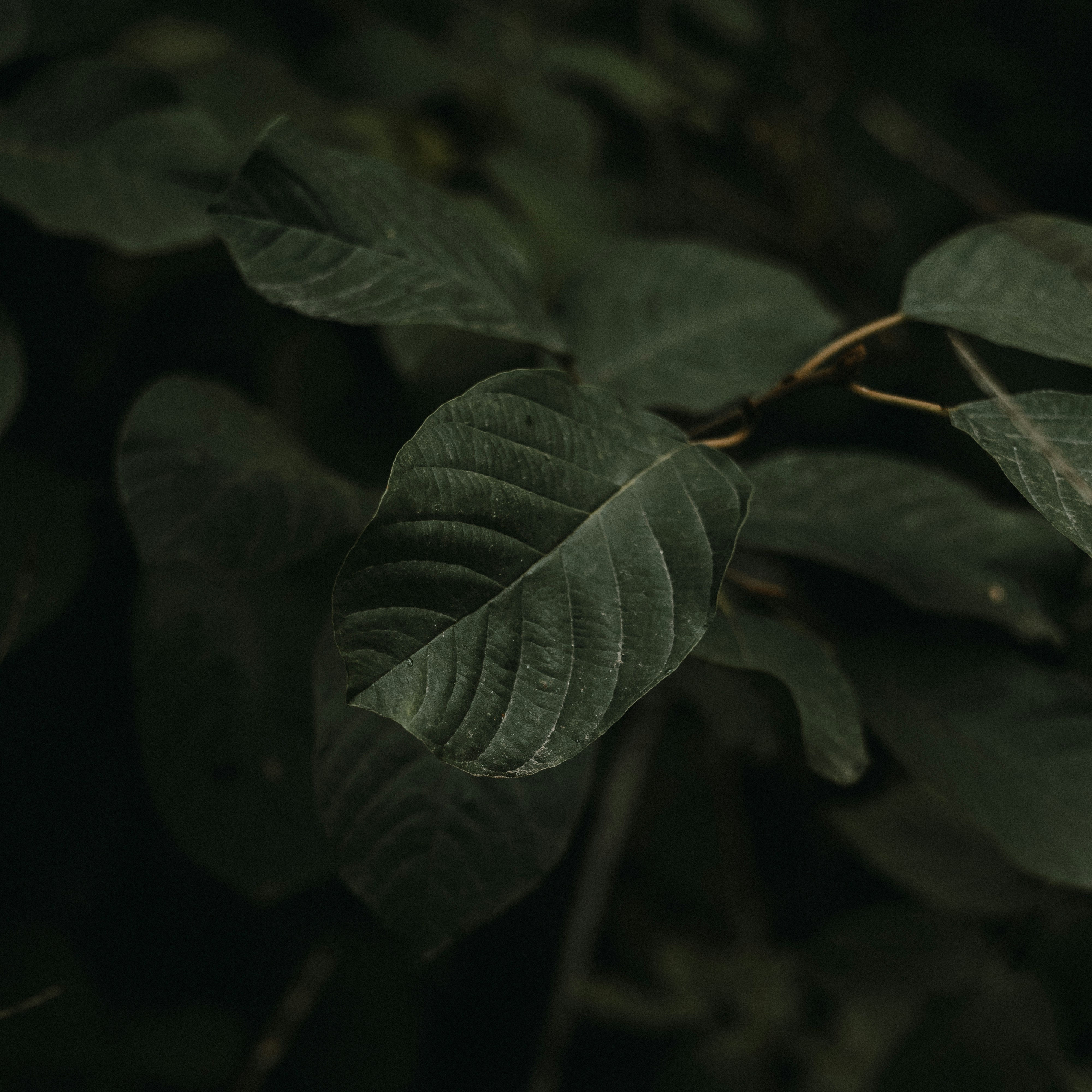 Photo by emfotografie