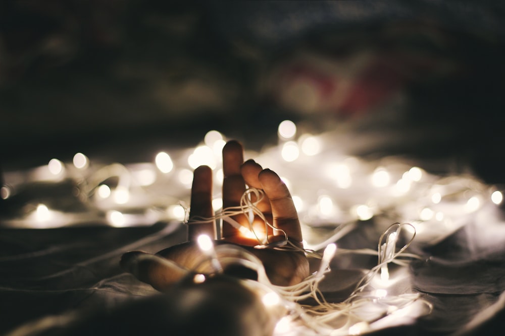 person holding white string lights