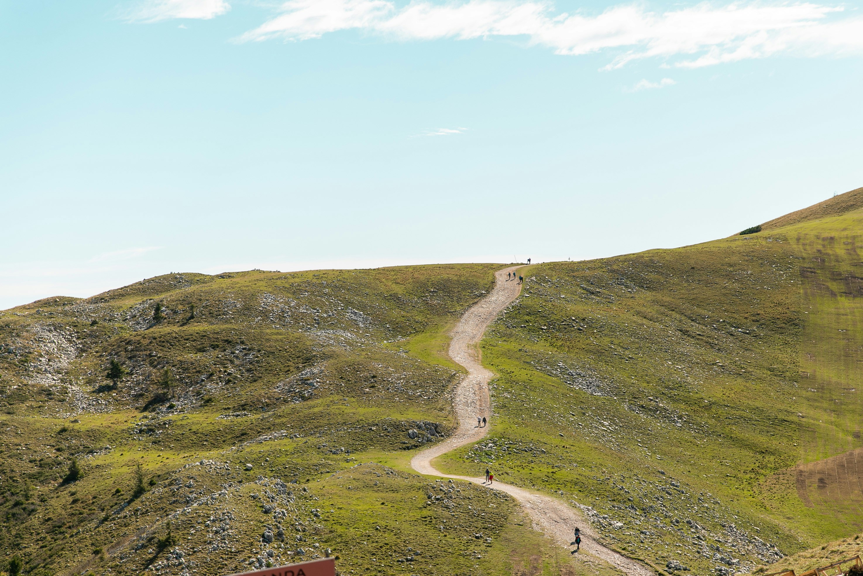 green grass field under blue sky during daytime
