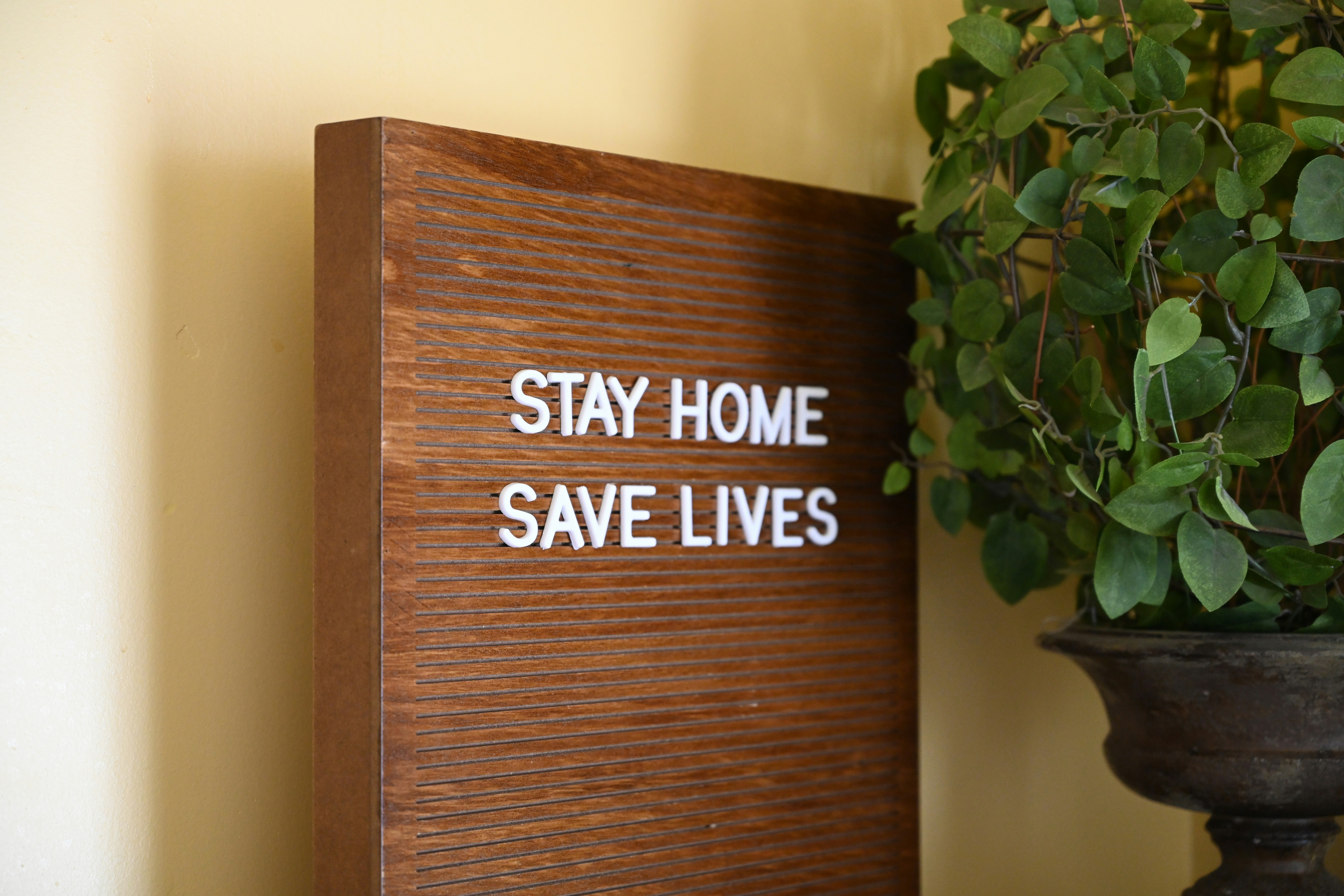 Safe eco-friendly home