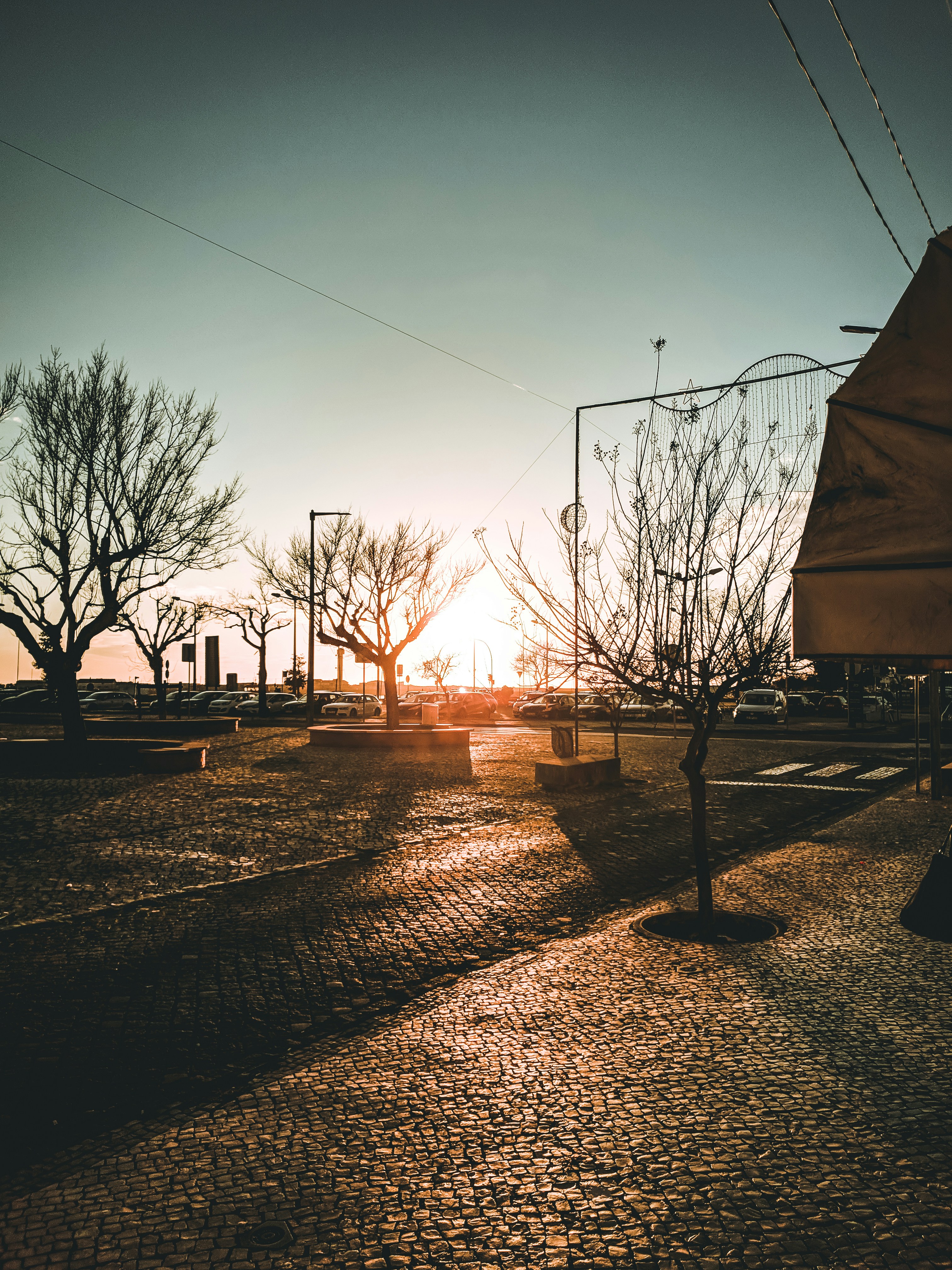 Photo by paulo0000000000000