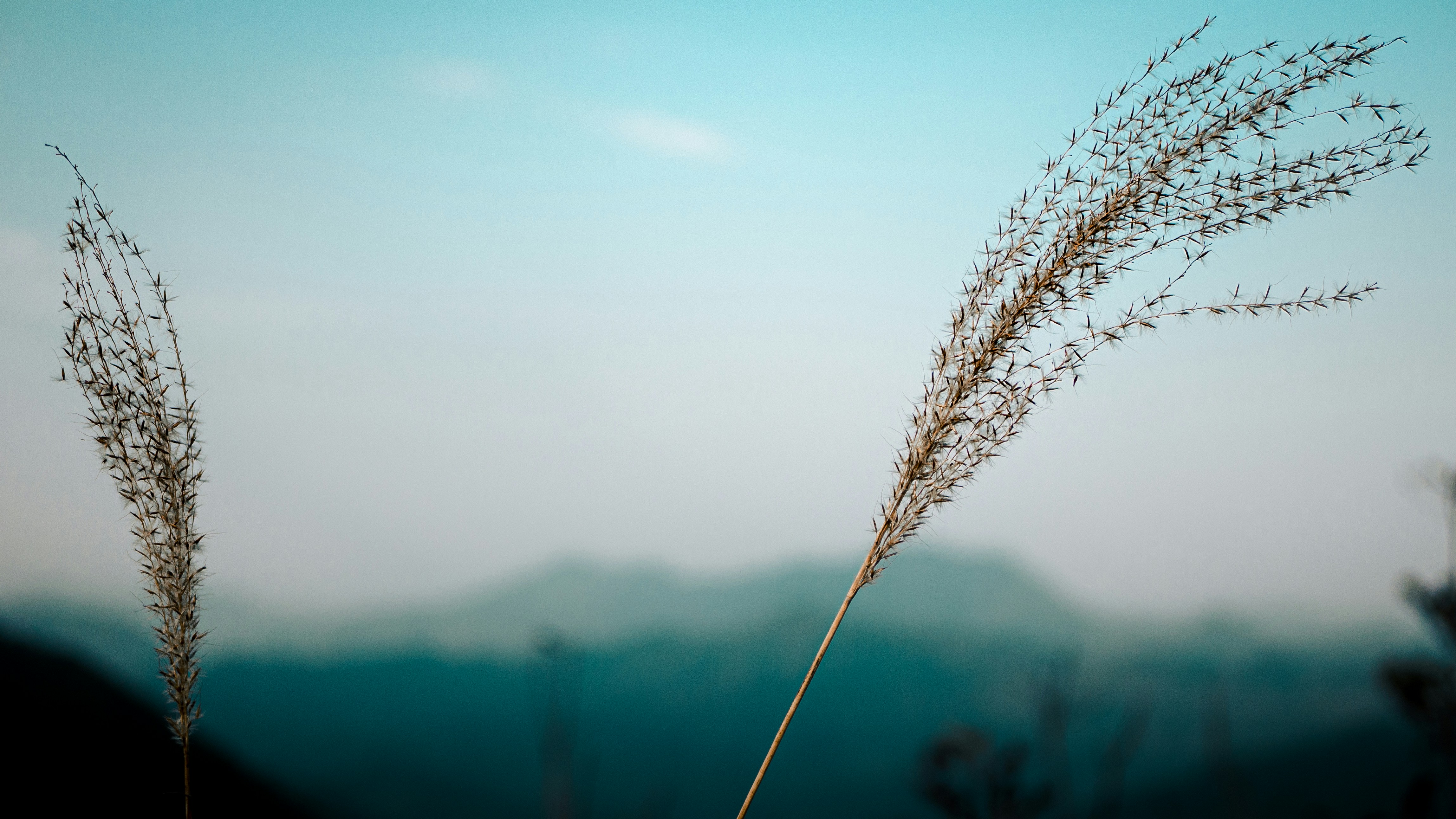 Photo by xiexianghua