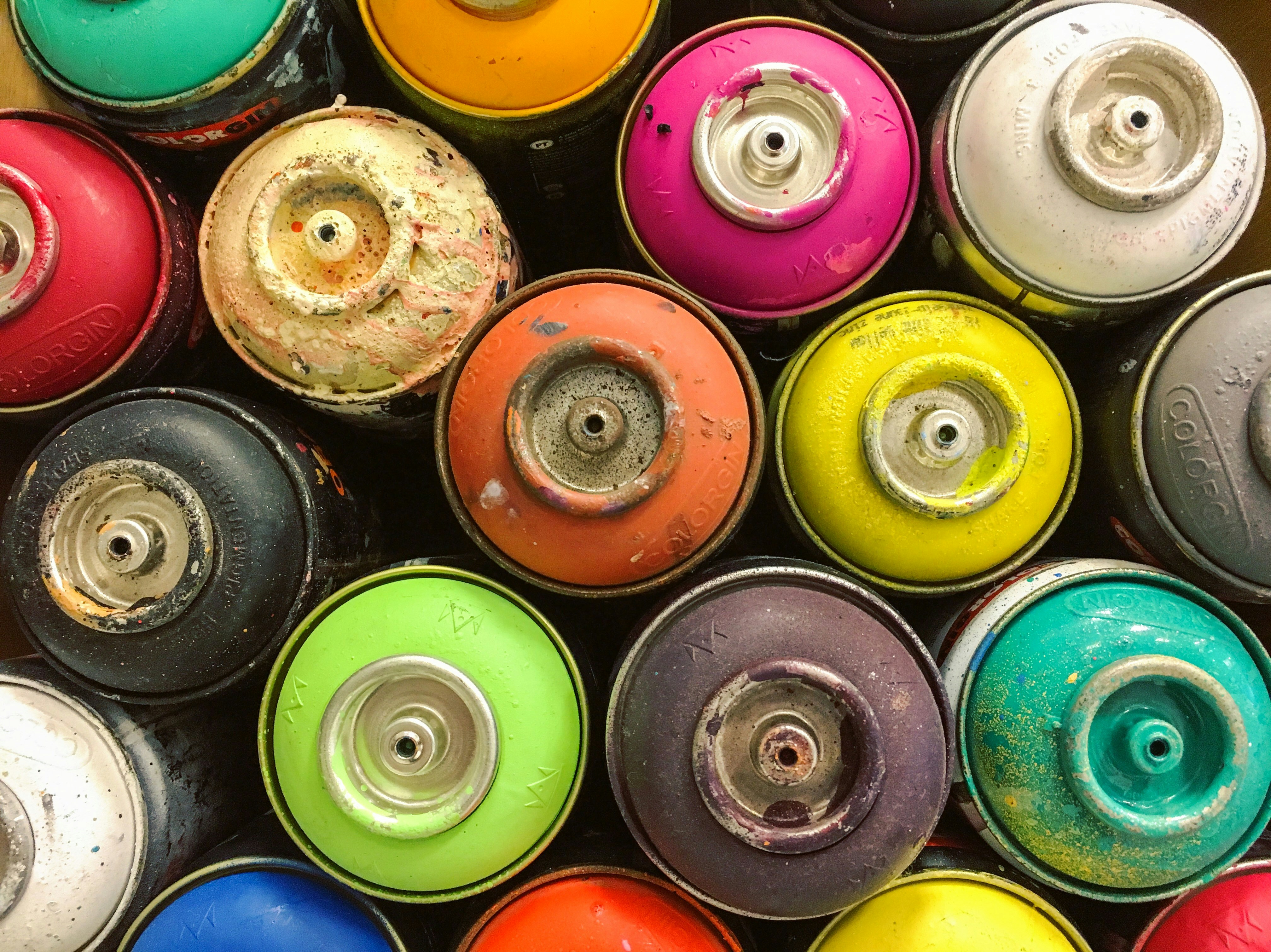 Photo by aryenedemedeiros