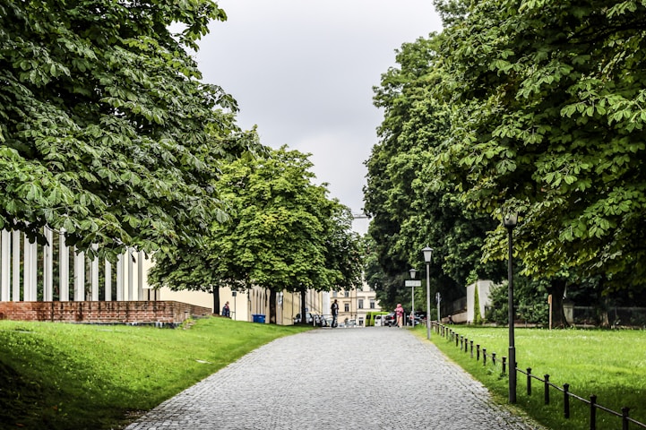 Ludwig Maximilian University of Munich