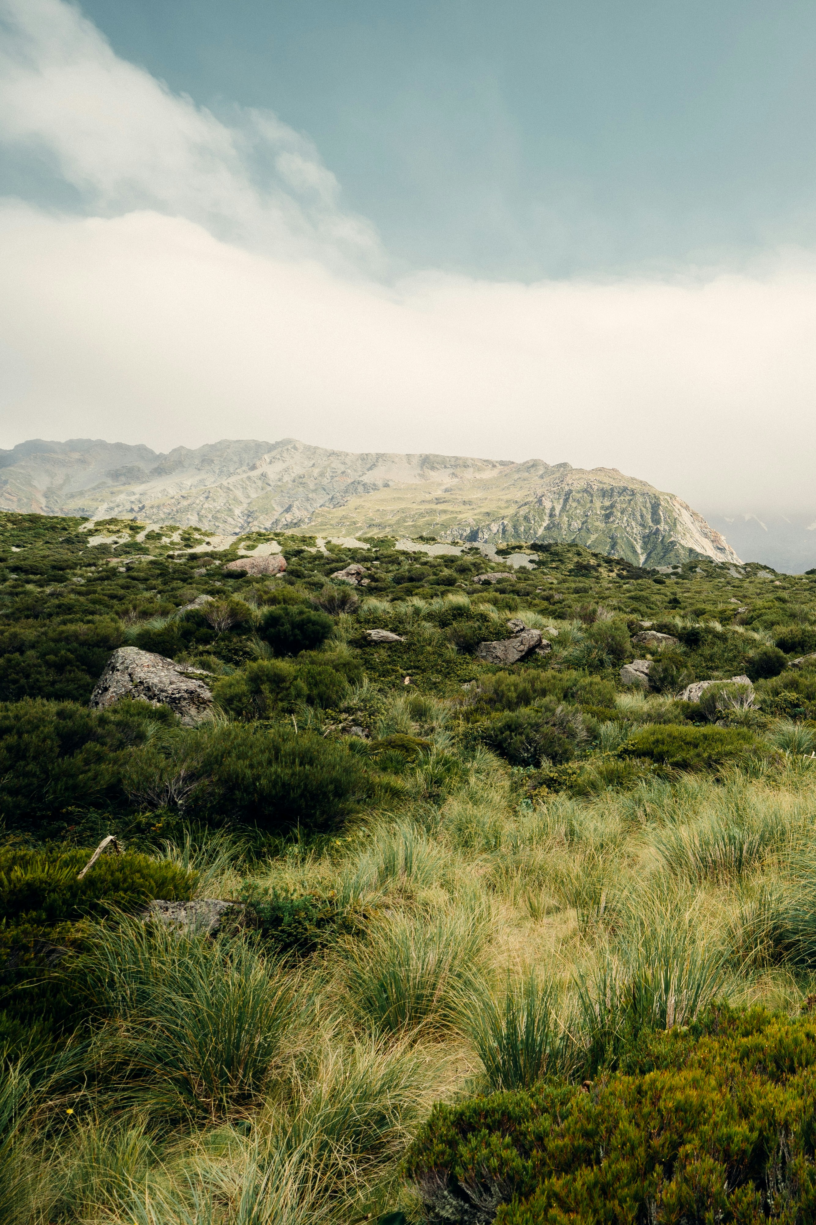 Green grass field near mountain under white sky during daytime photo