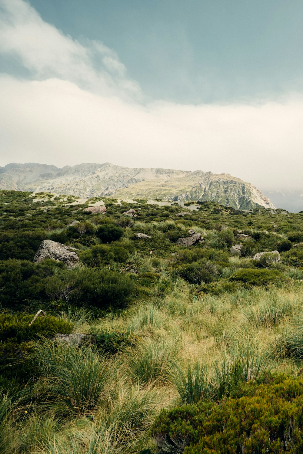 green grass field near mountain under white sky during daytime