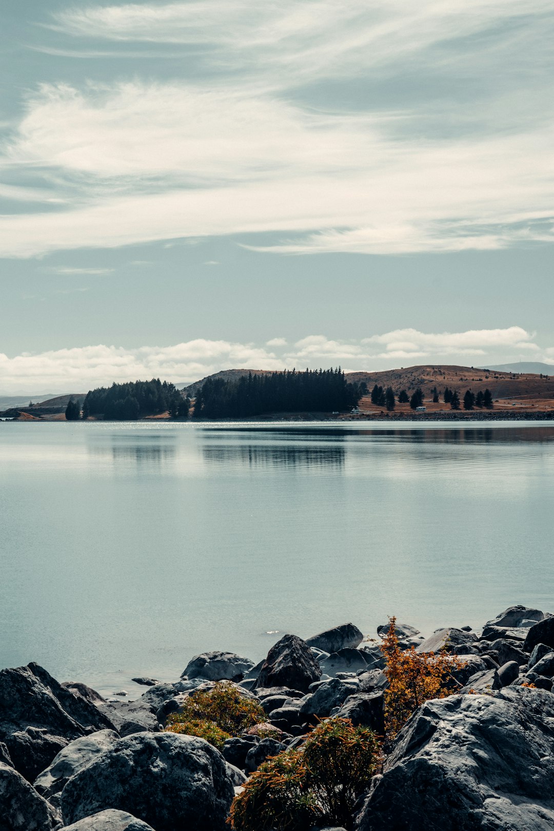 body of water near trees during daytime