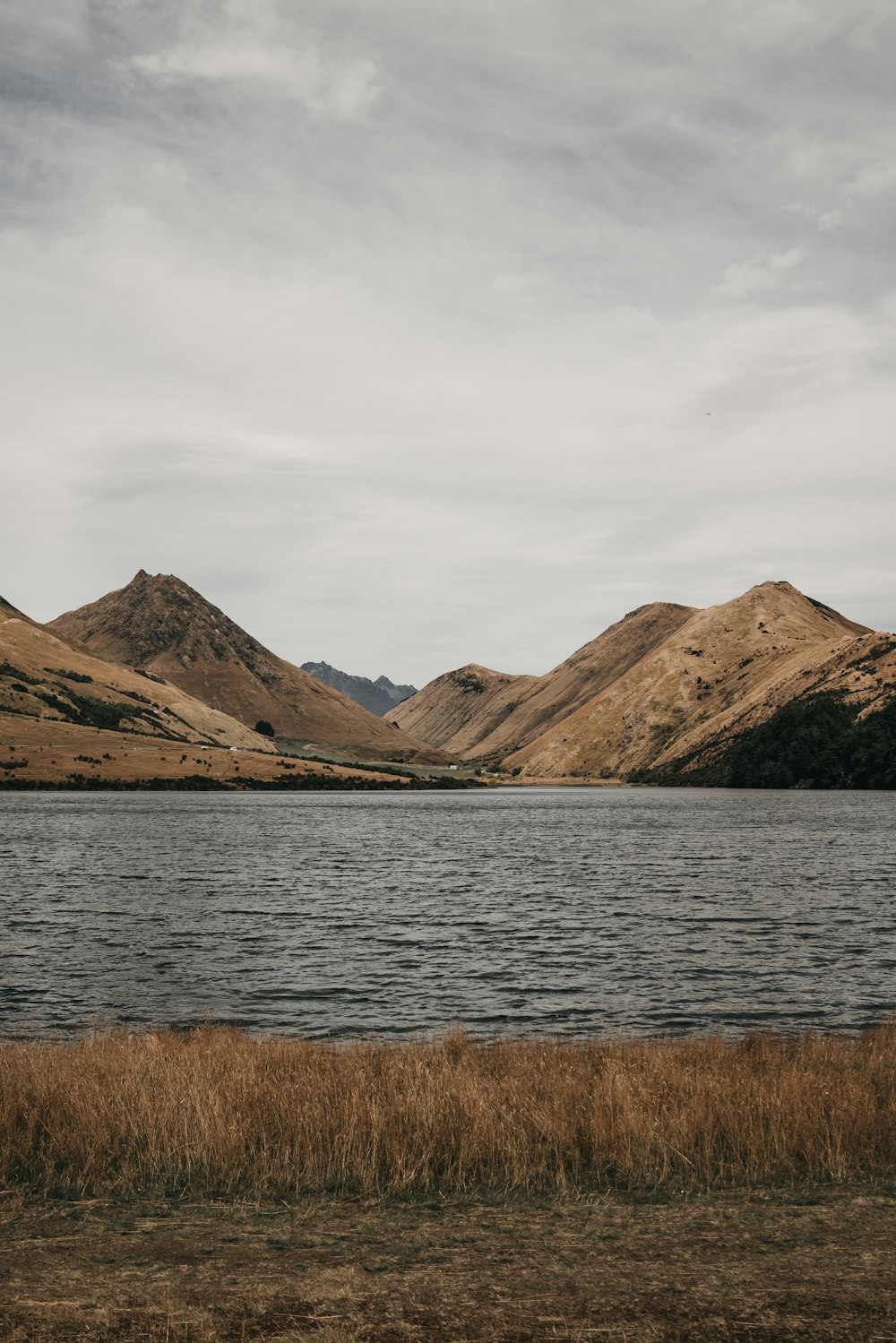 brown mountains near body of water during daytime