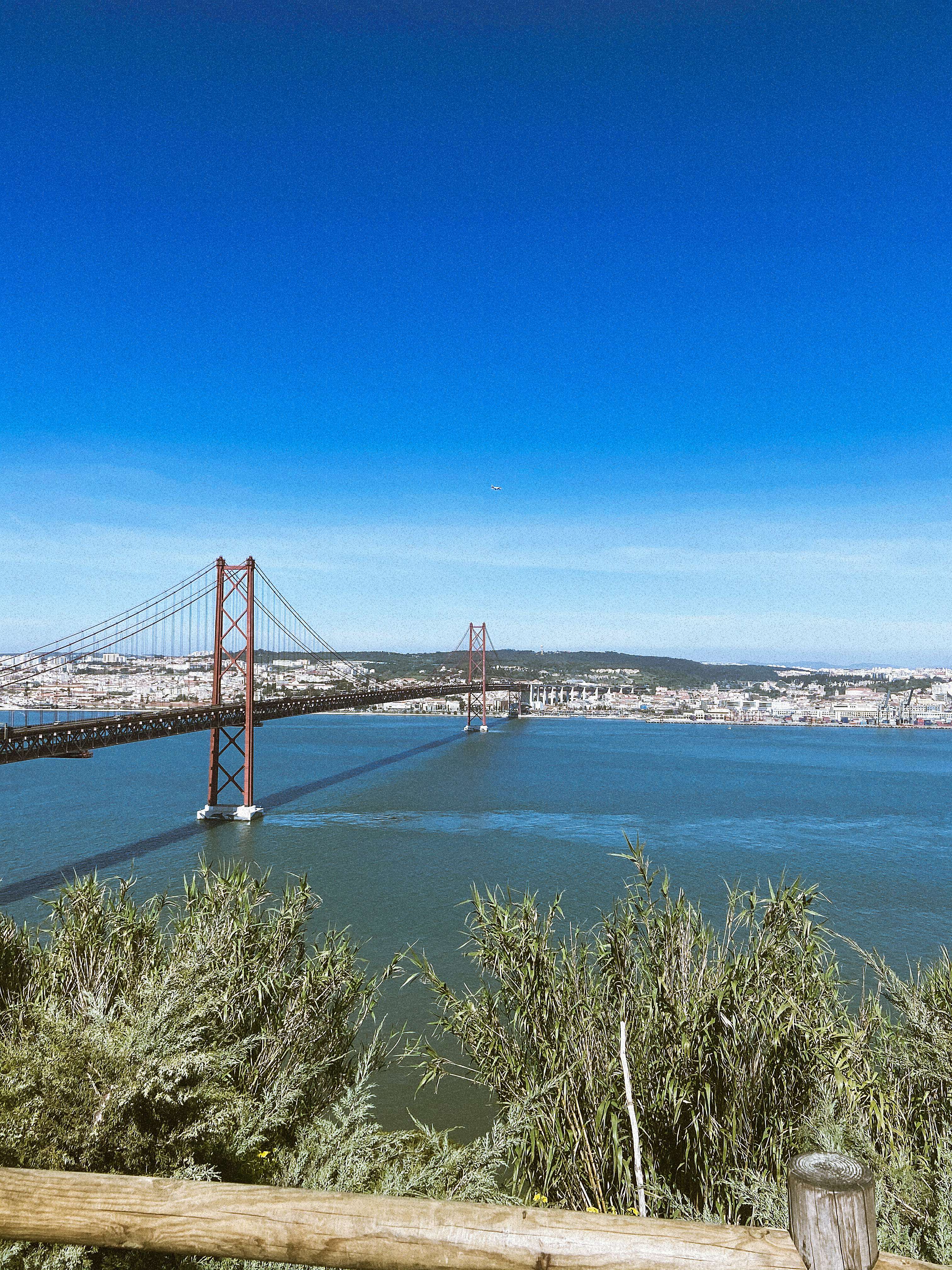 Photo by khalifababacart