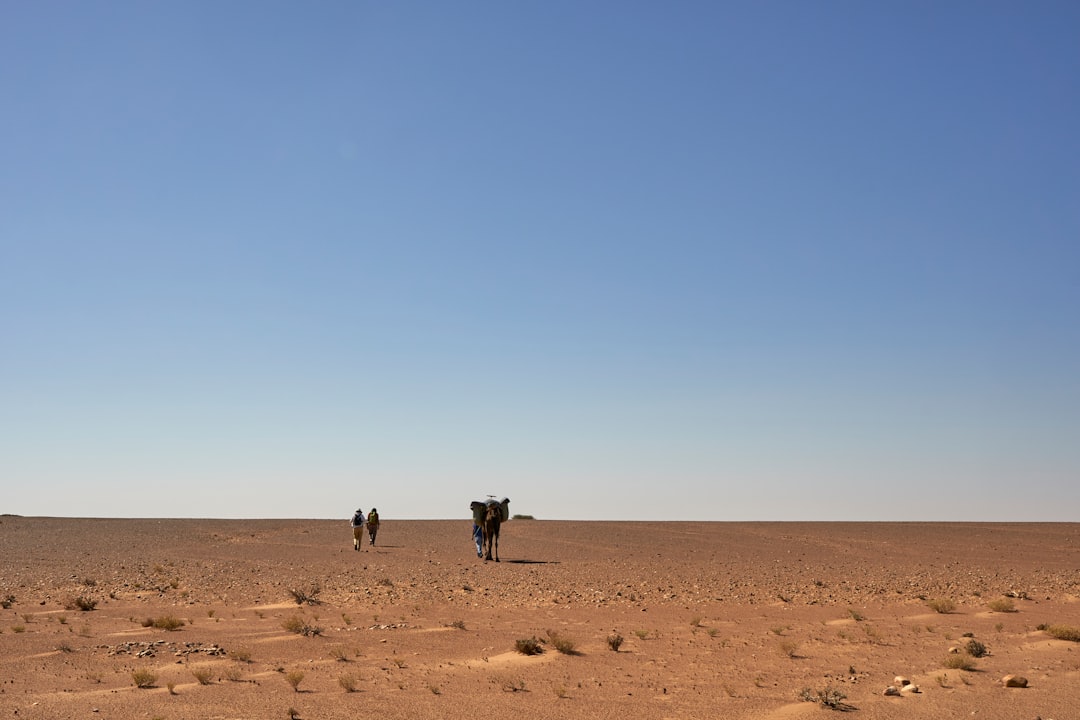 people walking on brown sand during daytime