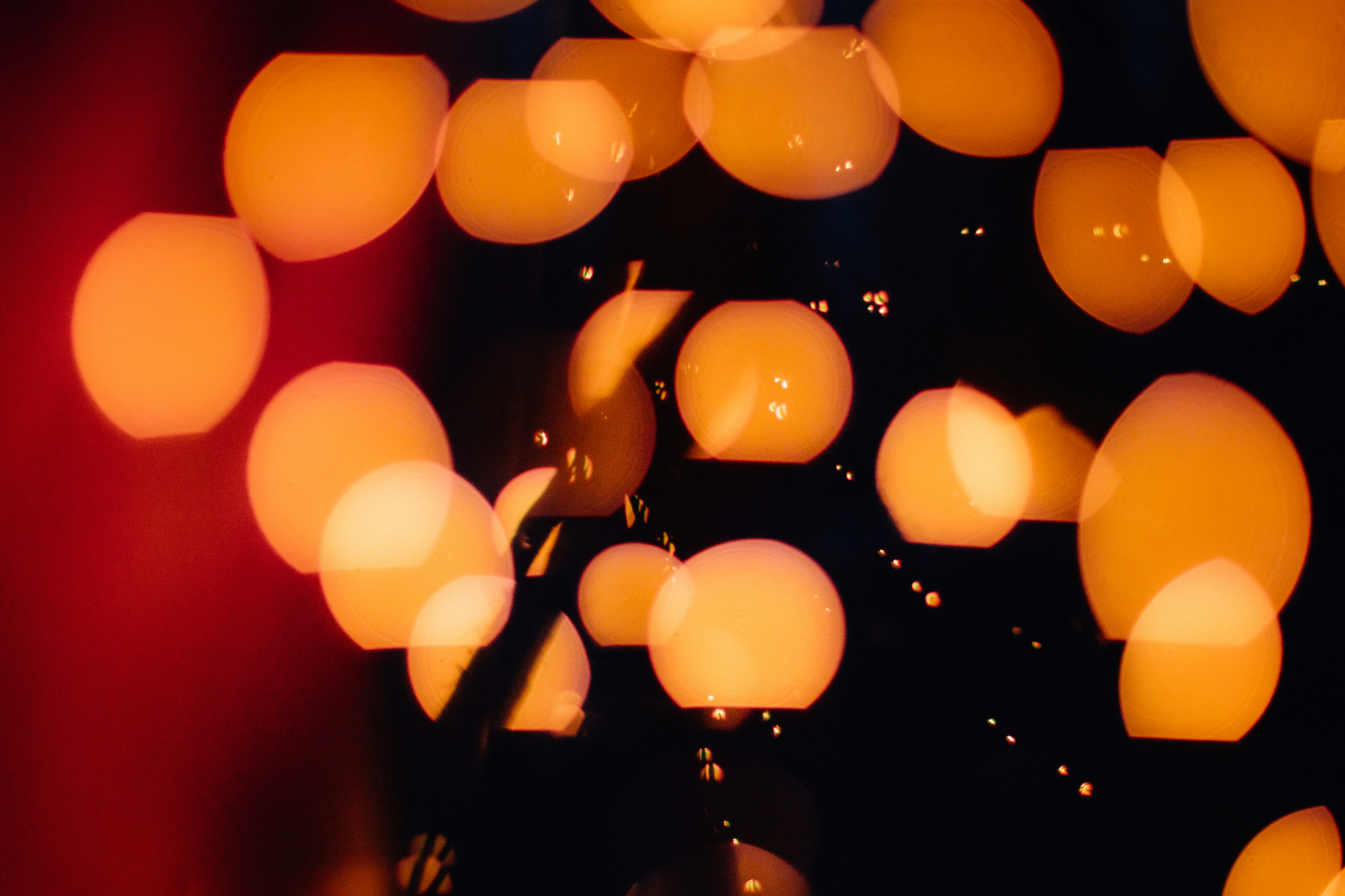 Photo by worldsbetweenlines