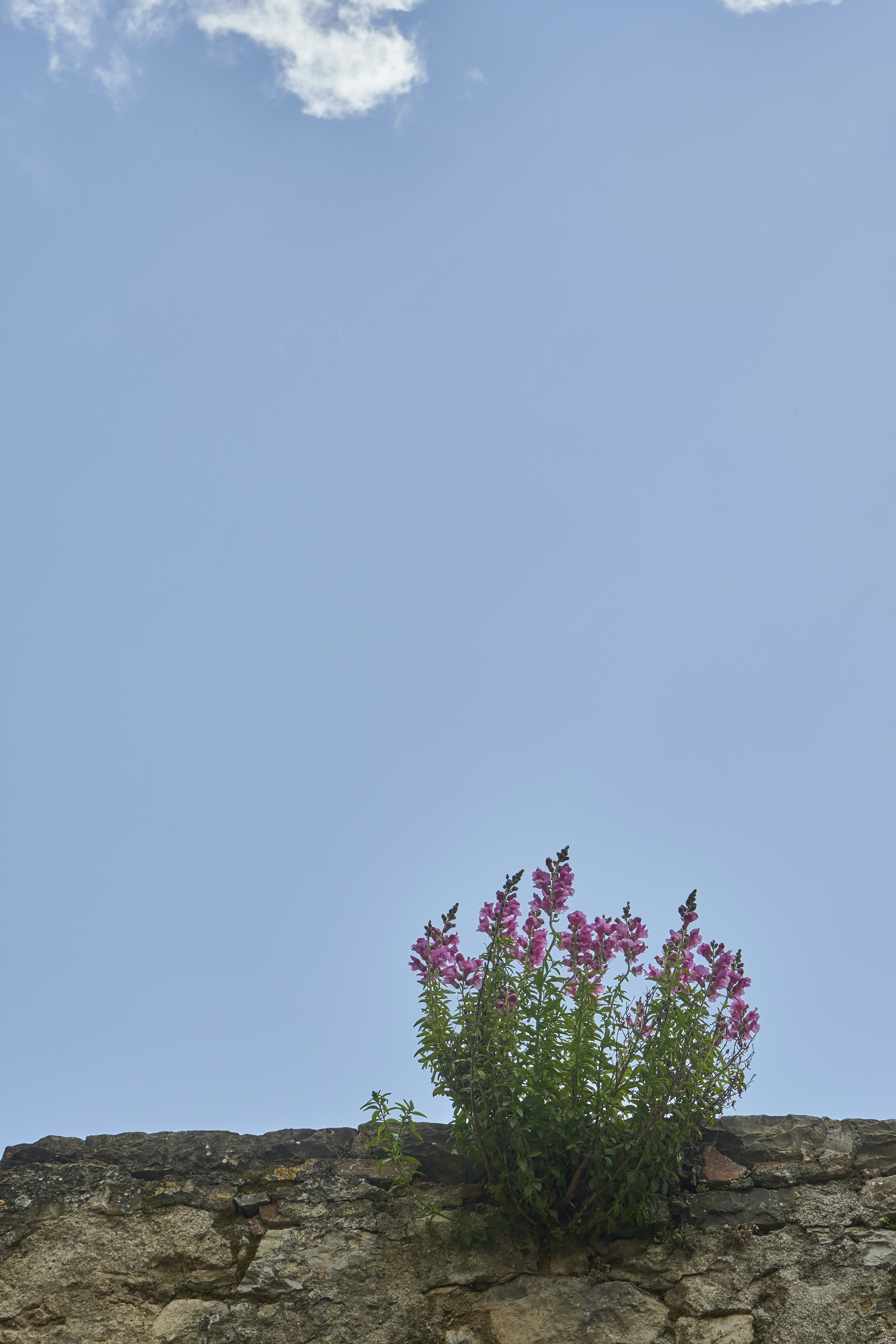 Photo by wolfgang_hasselmann