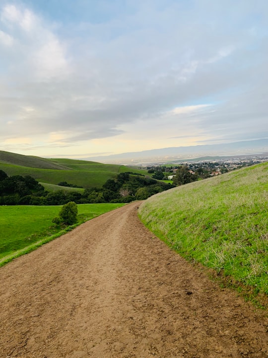 green grass field under cloudy sky during daytime in Mission Peak Regional Preserve United States