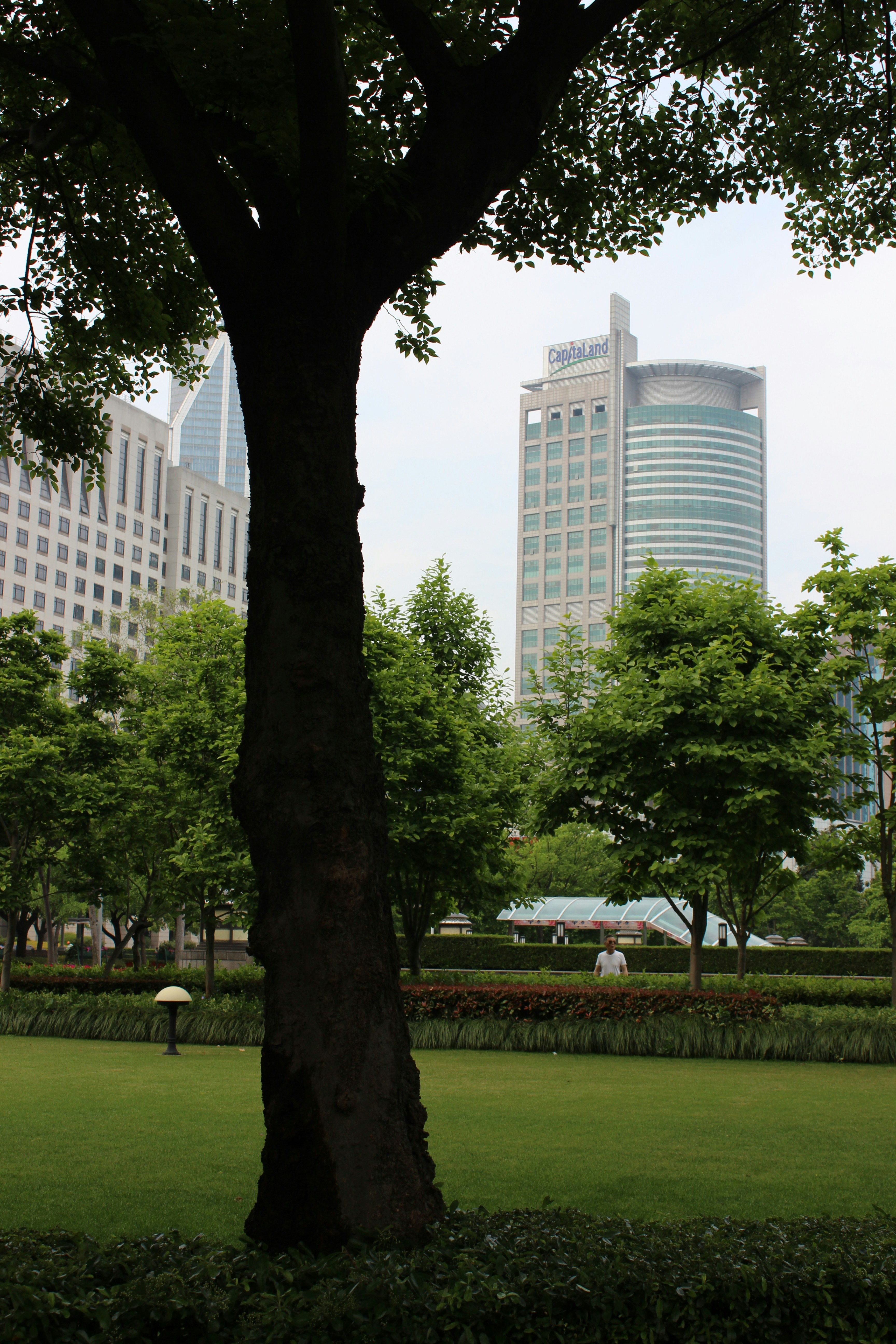 Photo by dr_joni_multimedia