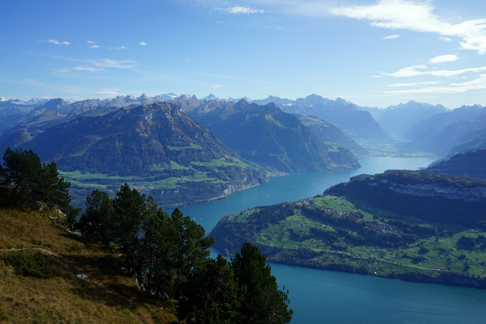 Grüne Bäume auf dem Berg in der Nähe des Sees tagsüber