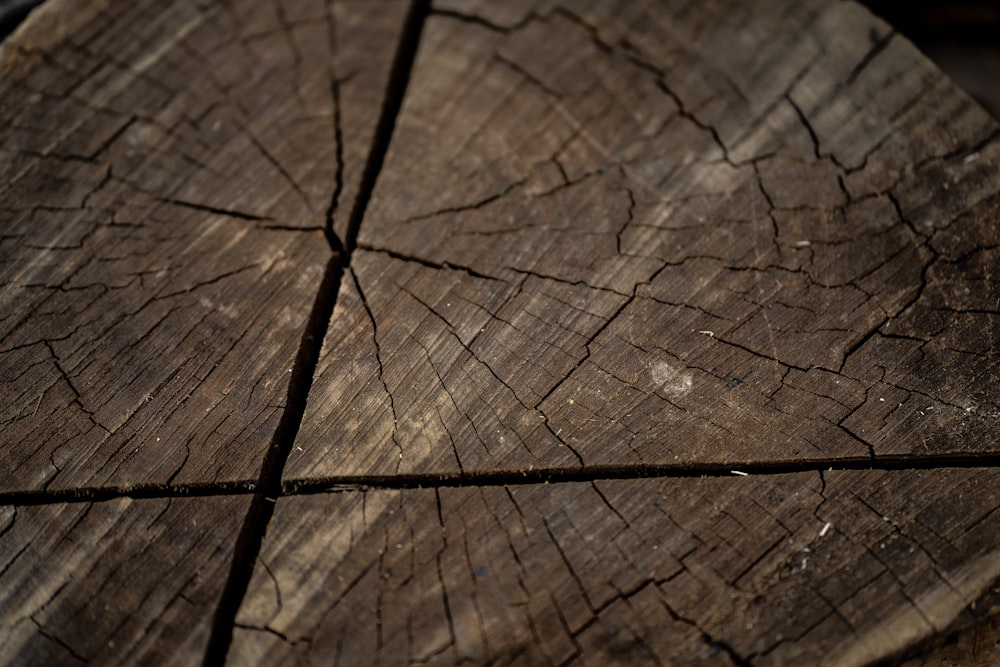 a piece of wood that has been cut in half