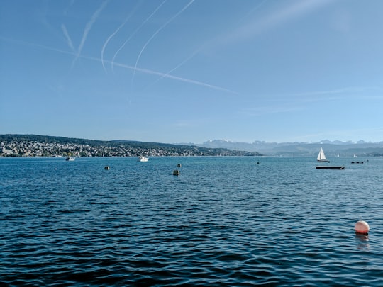 white boat on sea during daytime in Lake Zurich Switzerland