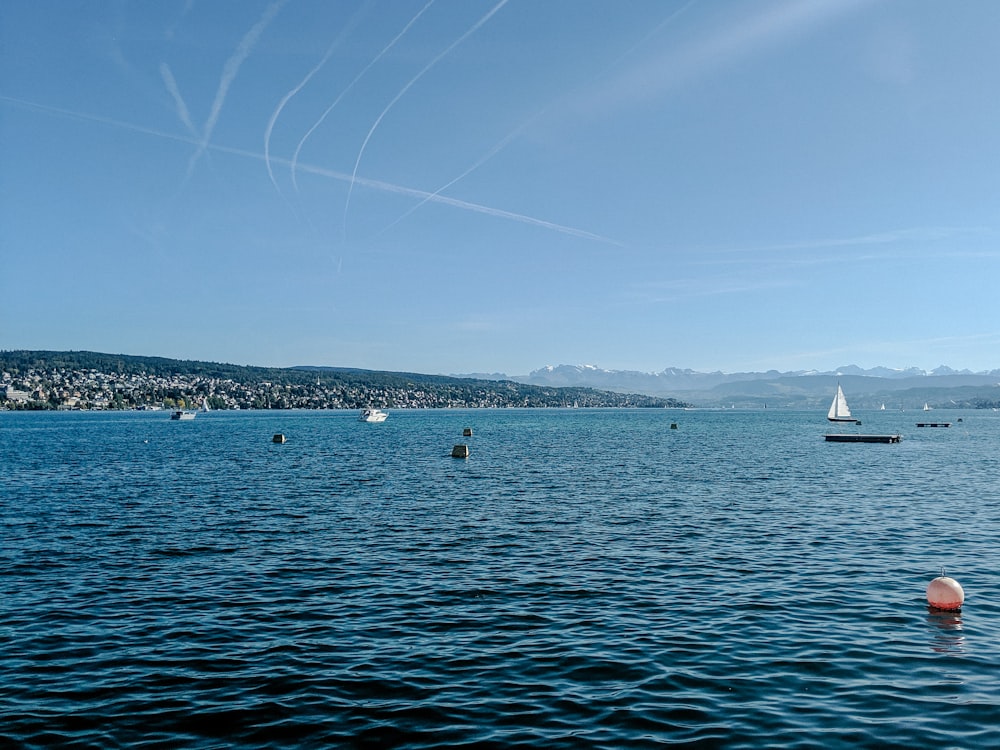 white boat on sea during daytime