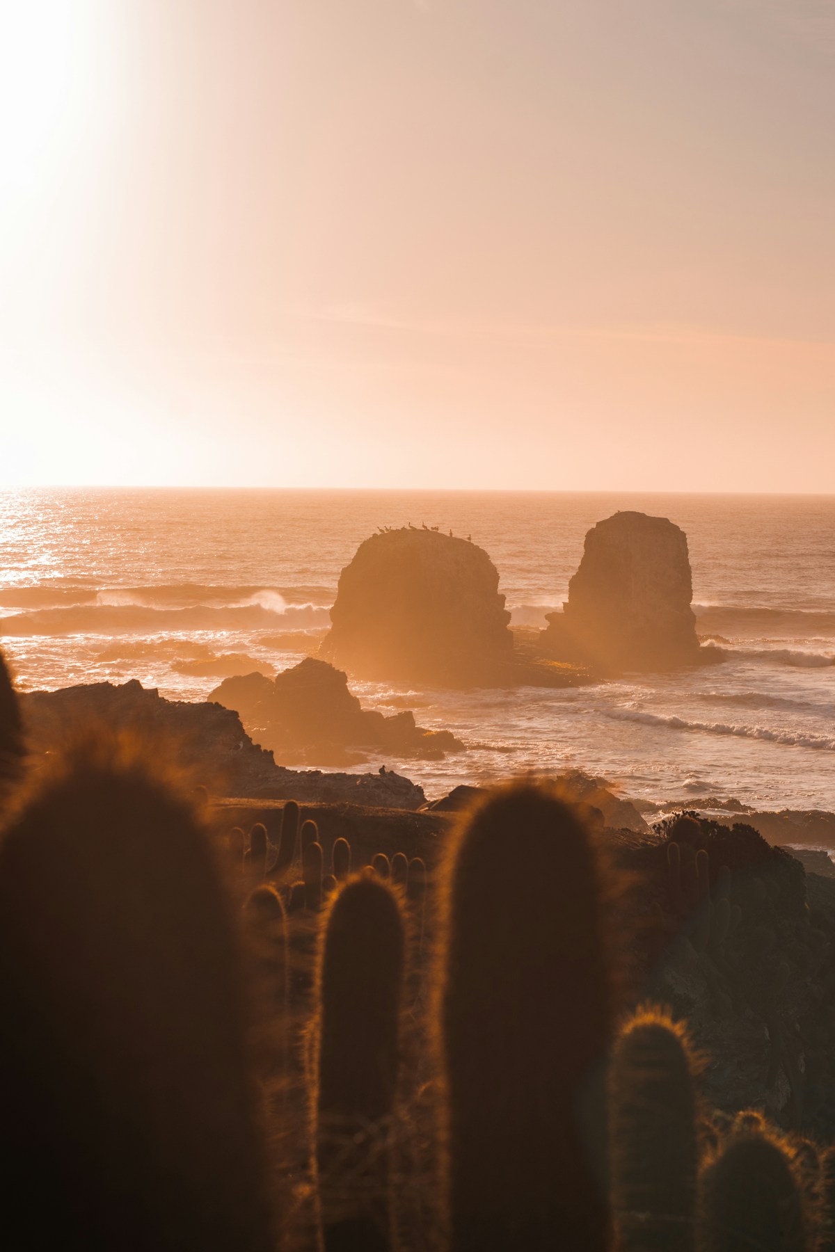 Atardecer en Pichilemu — siluetas en la playa al sunset