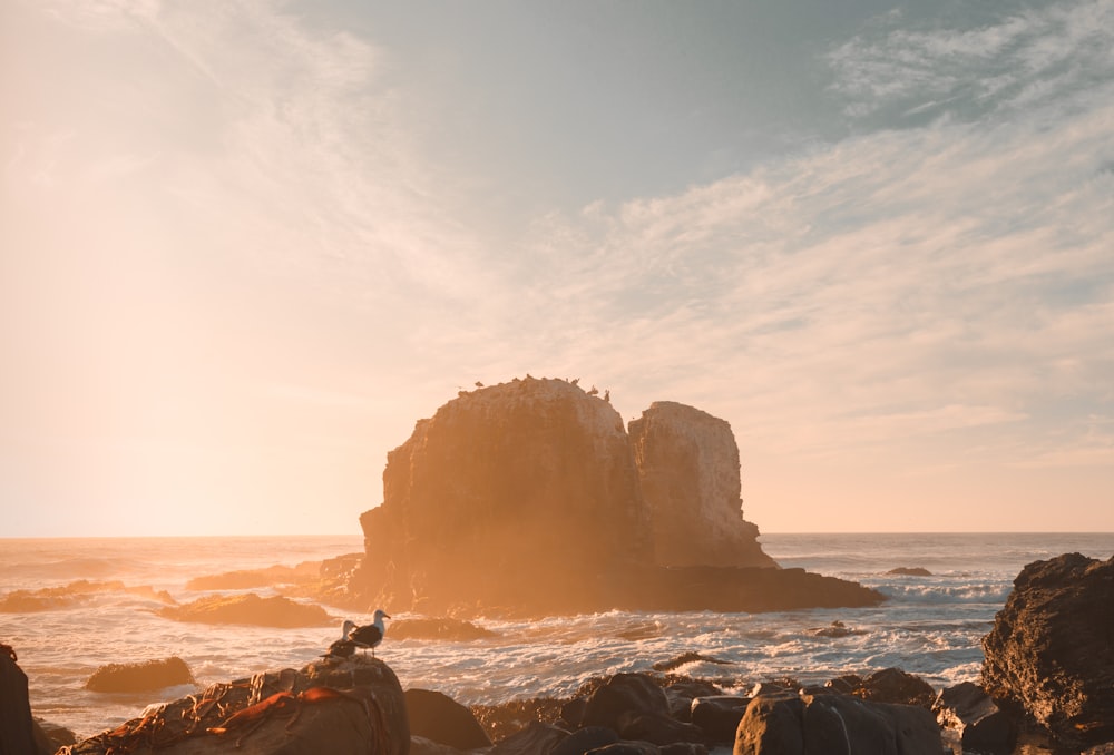 man sitting on rock formation near sea during daytime