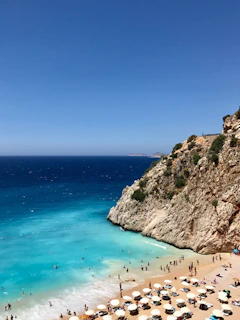 people on beach during daytime