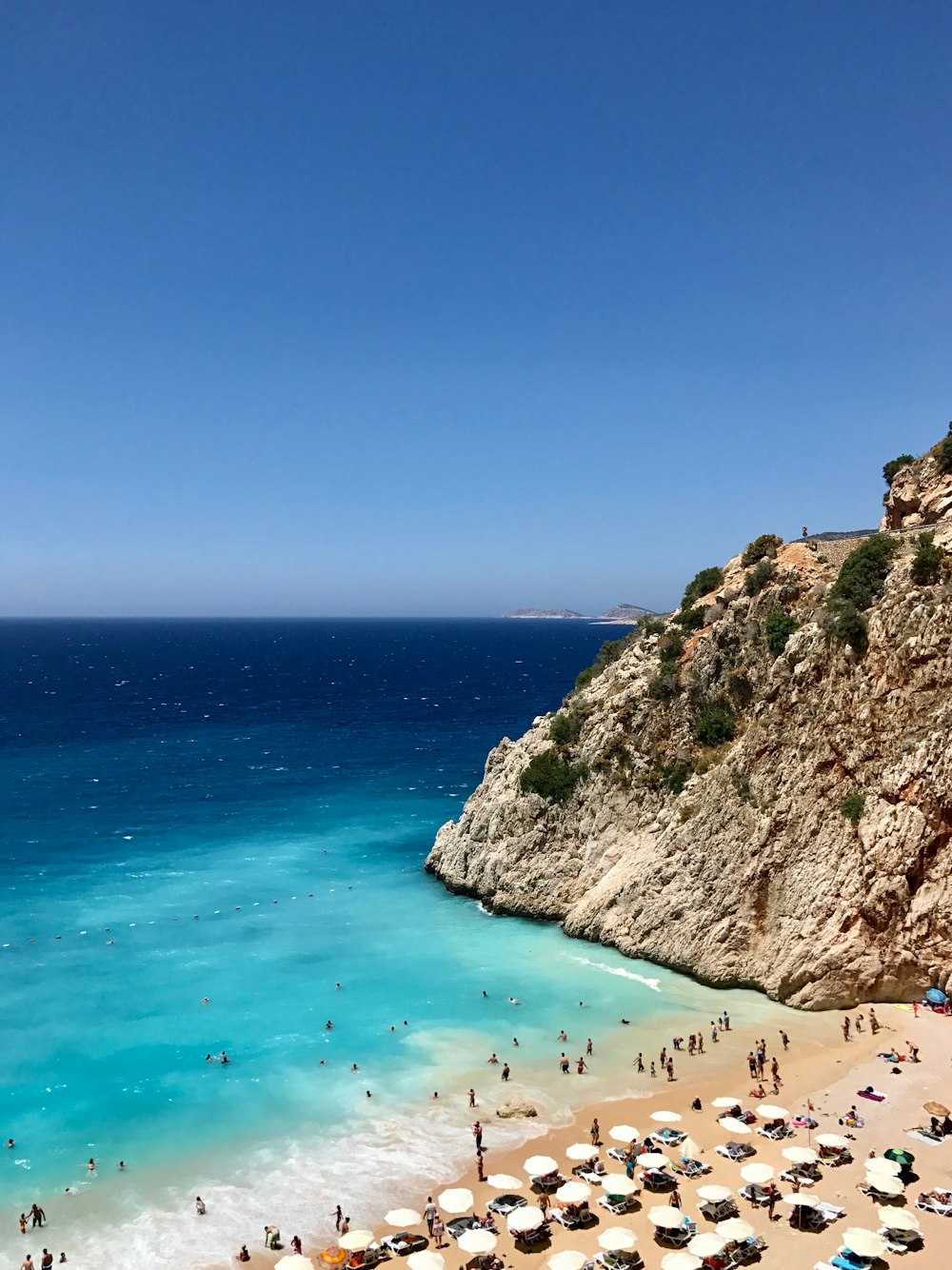 people on beach during daytime