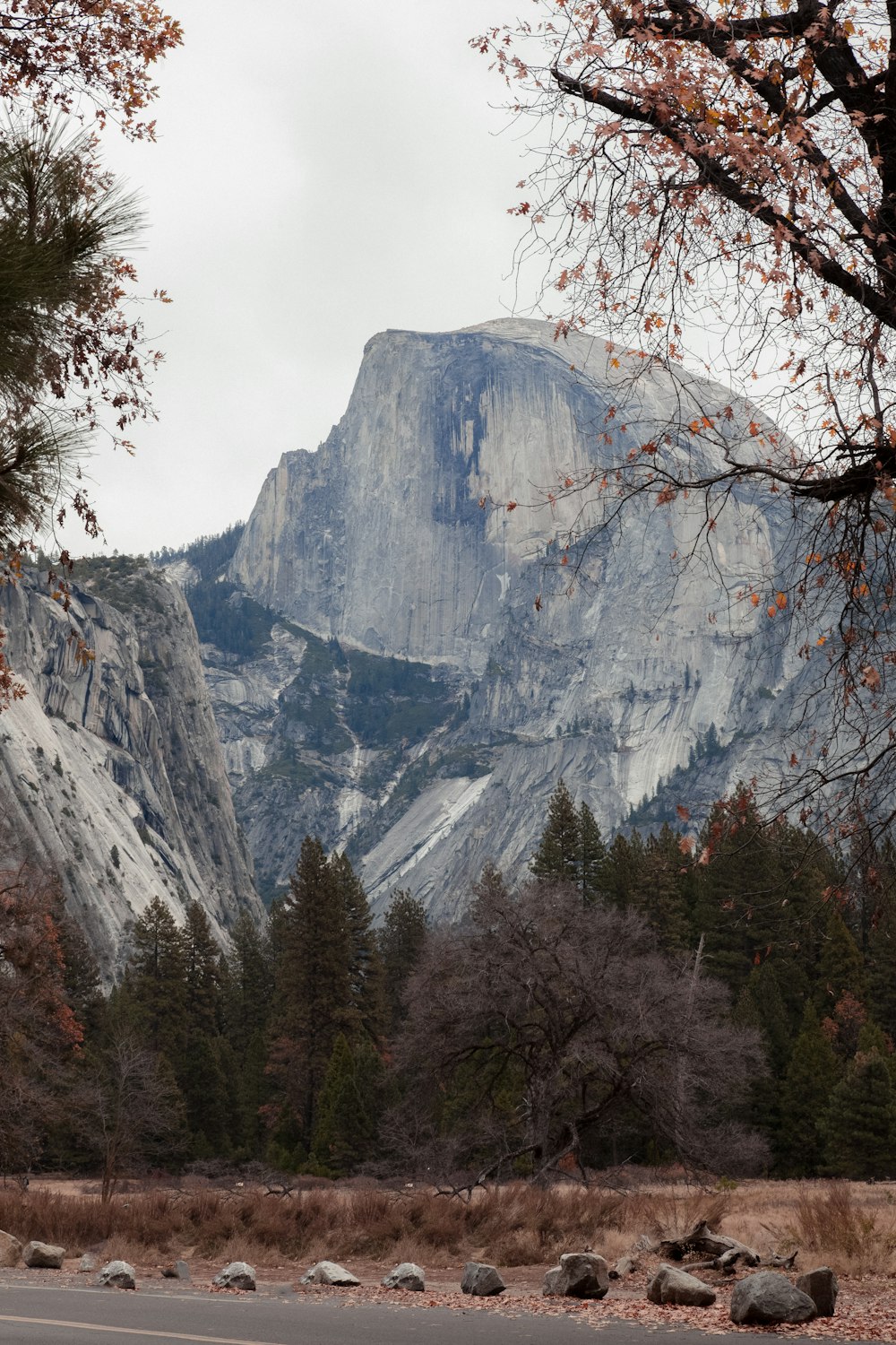 green trees near mountain during daytime