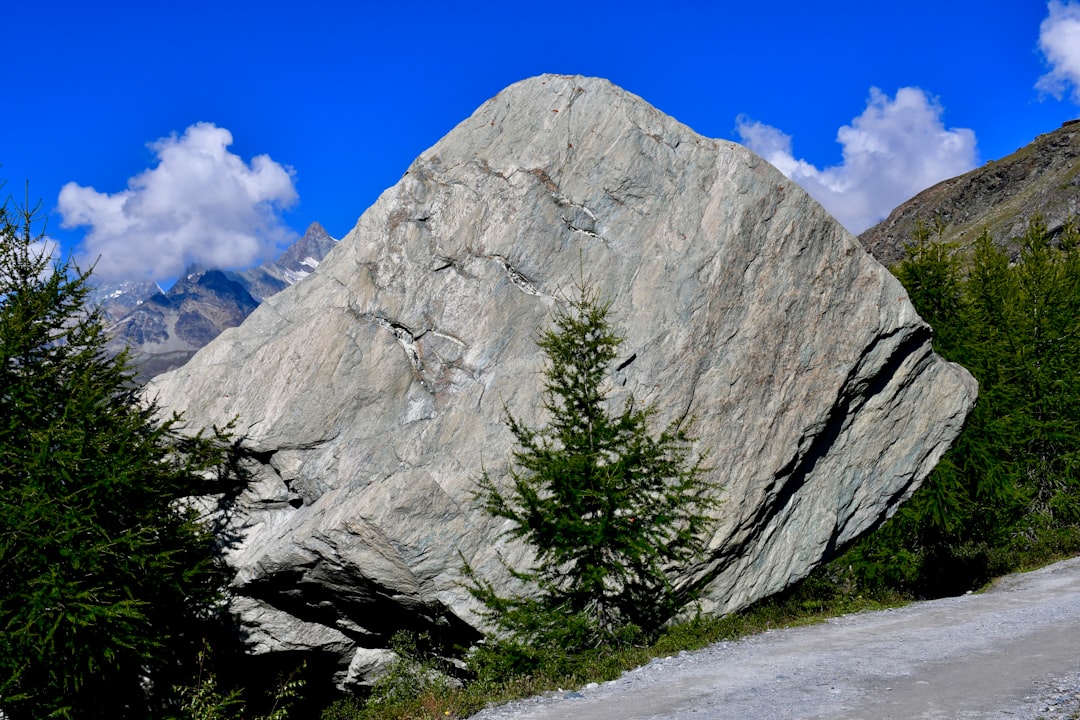 green pine tree near gray rock mountain during daytime