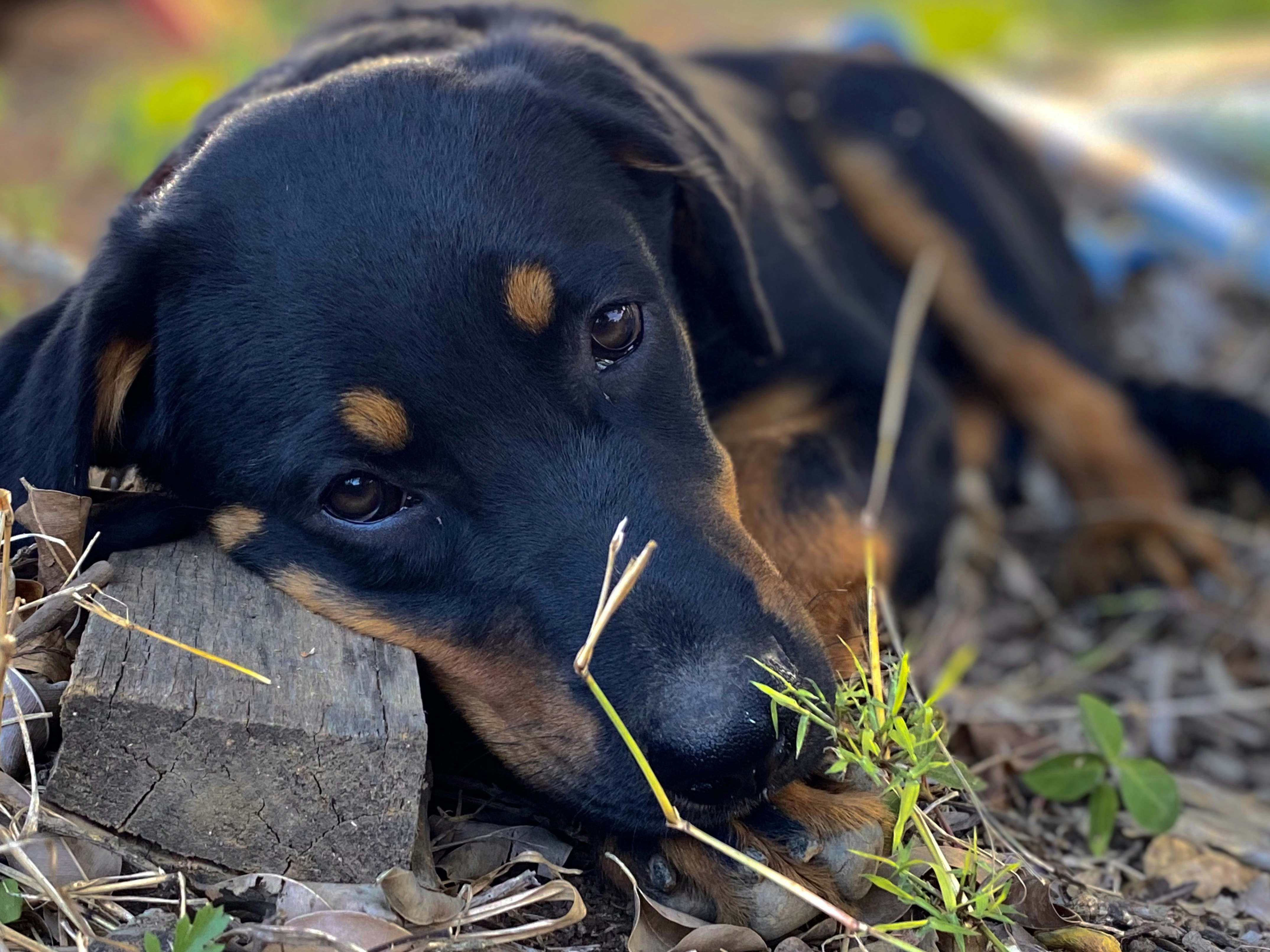 Photo by 7henrique1993