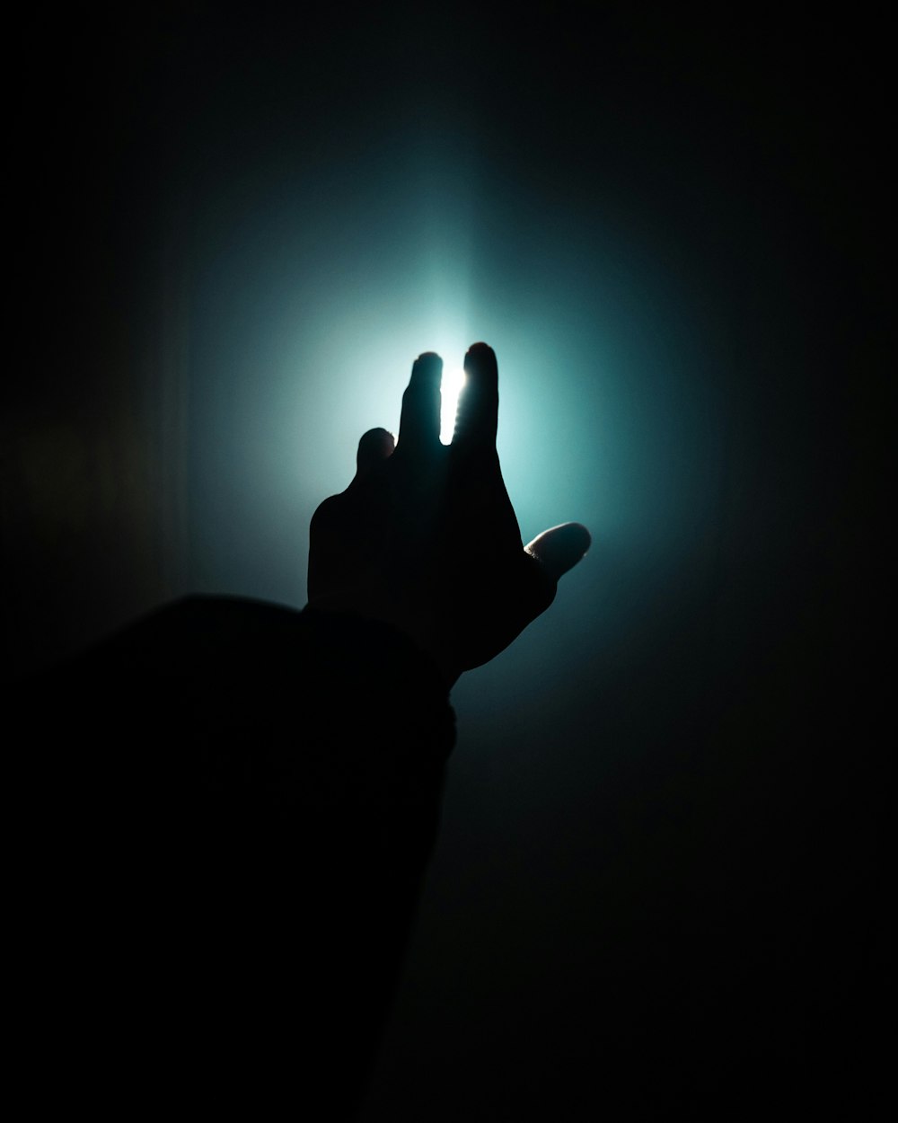 silhouette of persons hand