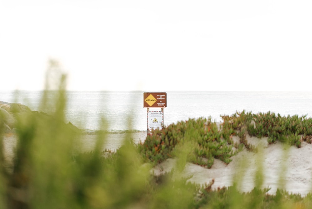 낮 동안 수역 근처의 푸른 잔디에 노란색과 검은색 표지판