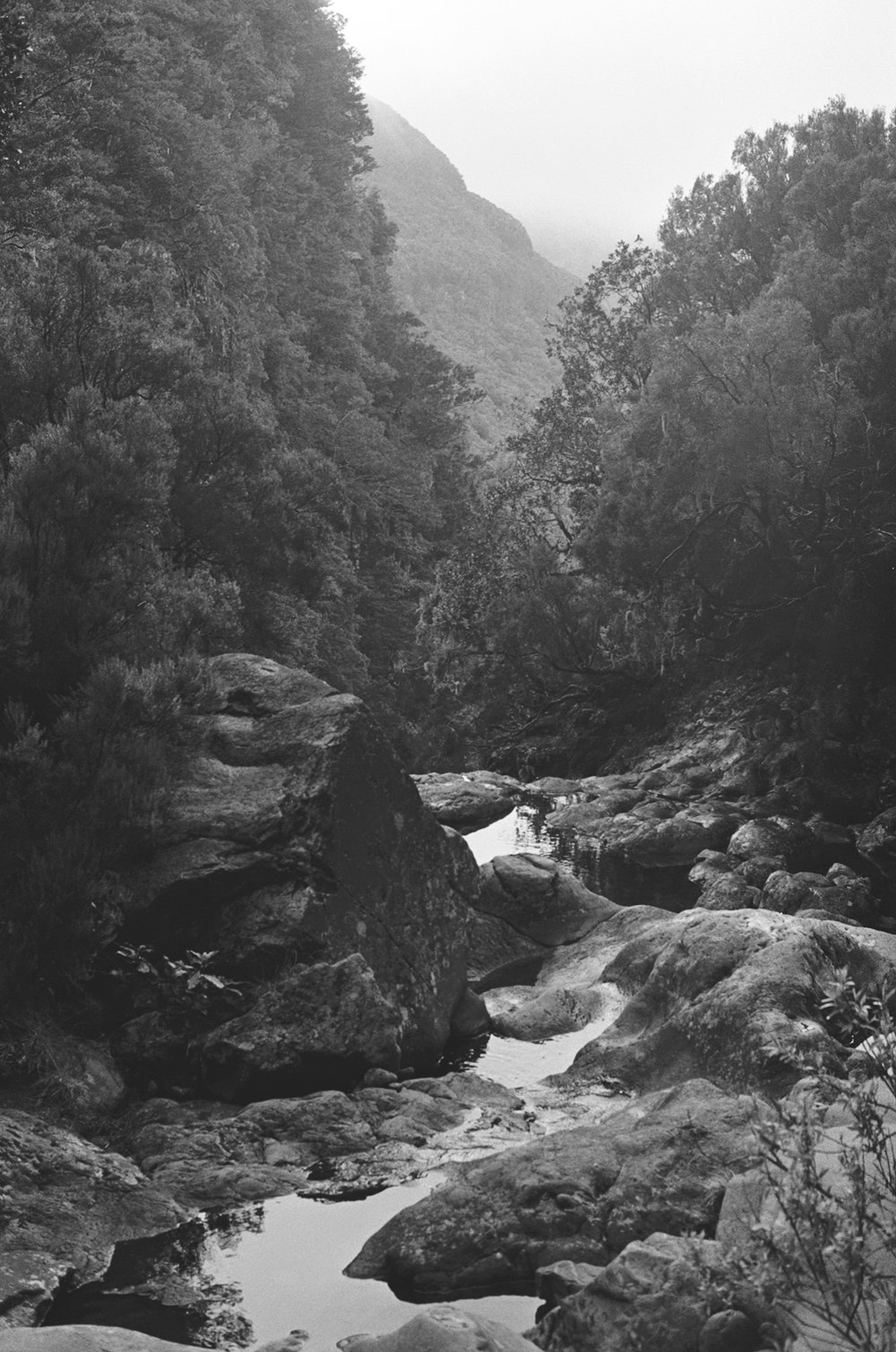 grayscale photo of river between rocks