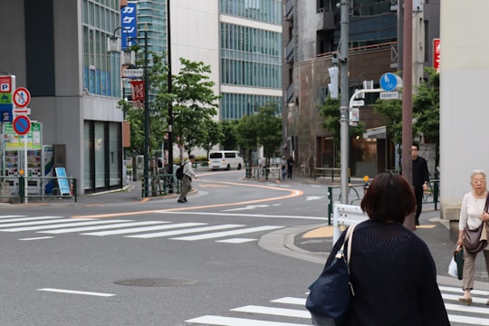 people walking on pedestrian lane during daytime in Yoyogi Japan