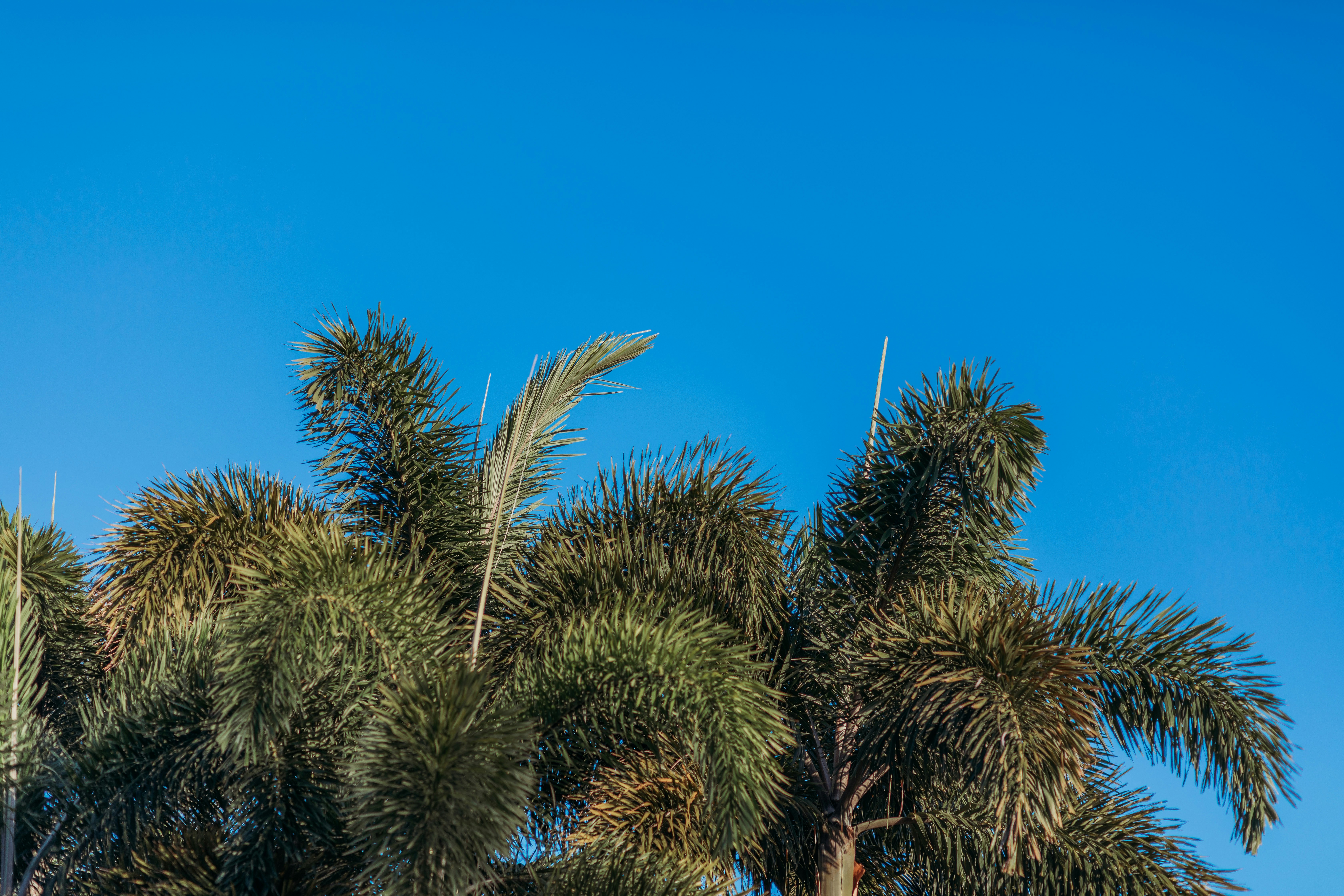 Photo by maciejonesphotography