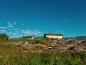 Two rustic wooden houses with grass-covered roofs are situated in a serene landscape. Surrounding them is a field of green grass and wildflowers, with a rocky foreground. In the distance, majestic mountains rise under a sky dotted with scattered clouds.