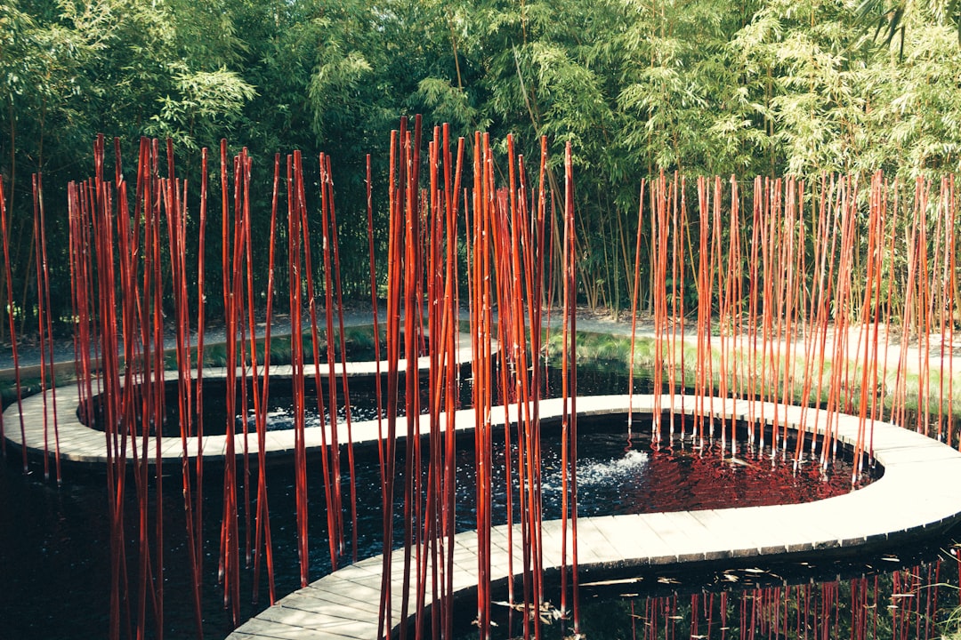 red metal bridge over river, Jardin contemporain chinois