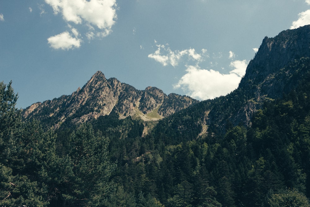 green trees near brown mountain under blue sky during daytime