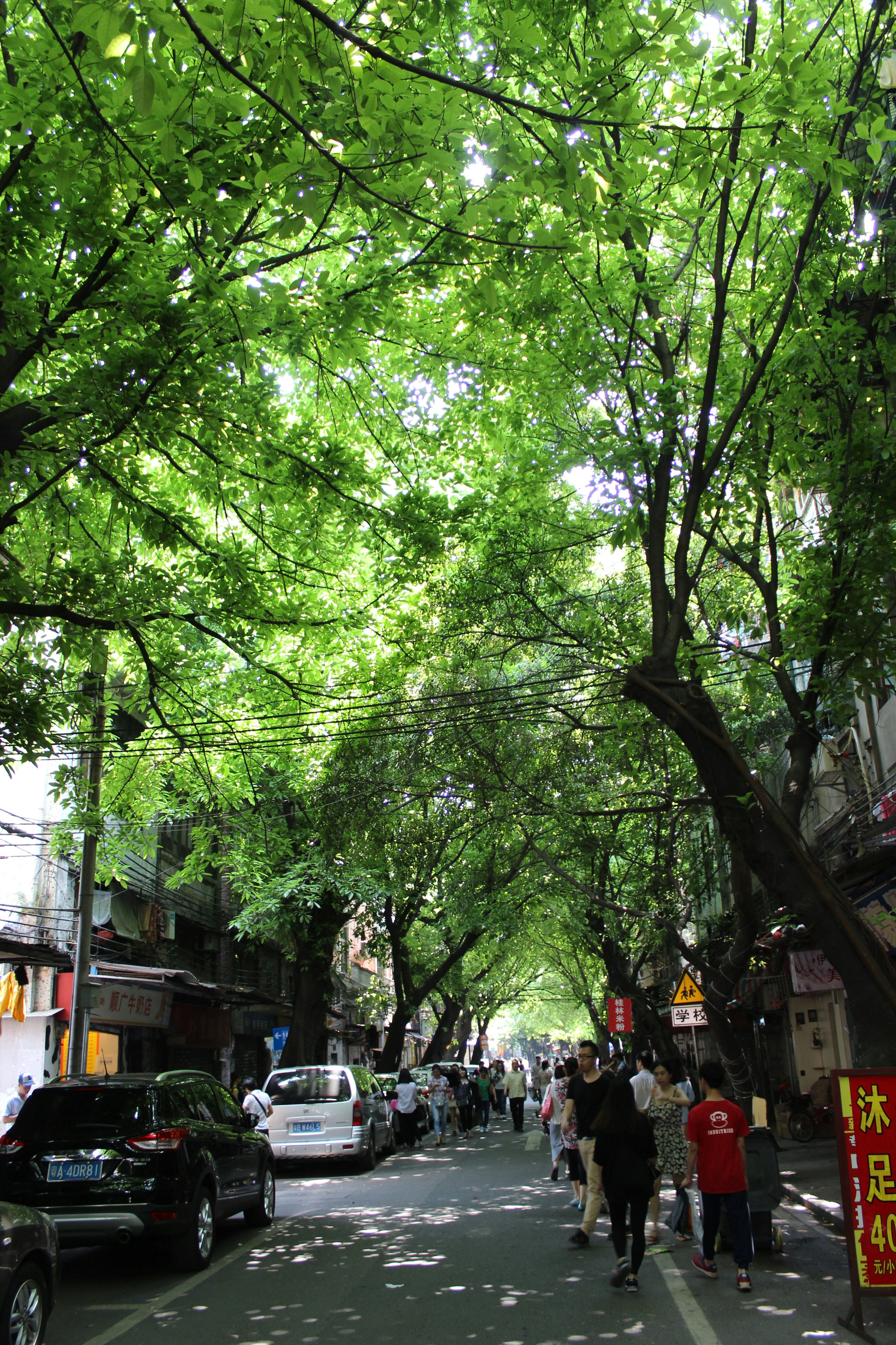 Photo by dr_joni_multimedia